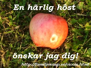 H�sth�lsning fr�n Cicci