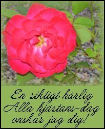 Alla hjärtans dag-hälsning från Cicci