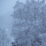 snö